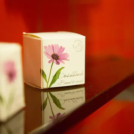 Hotel Ristorante Sasso 3*